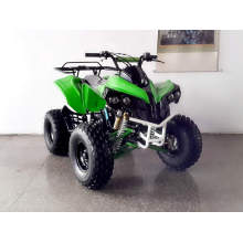 125cc ATV Mini automático de la impulsión de cadena (MDL GA005)